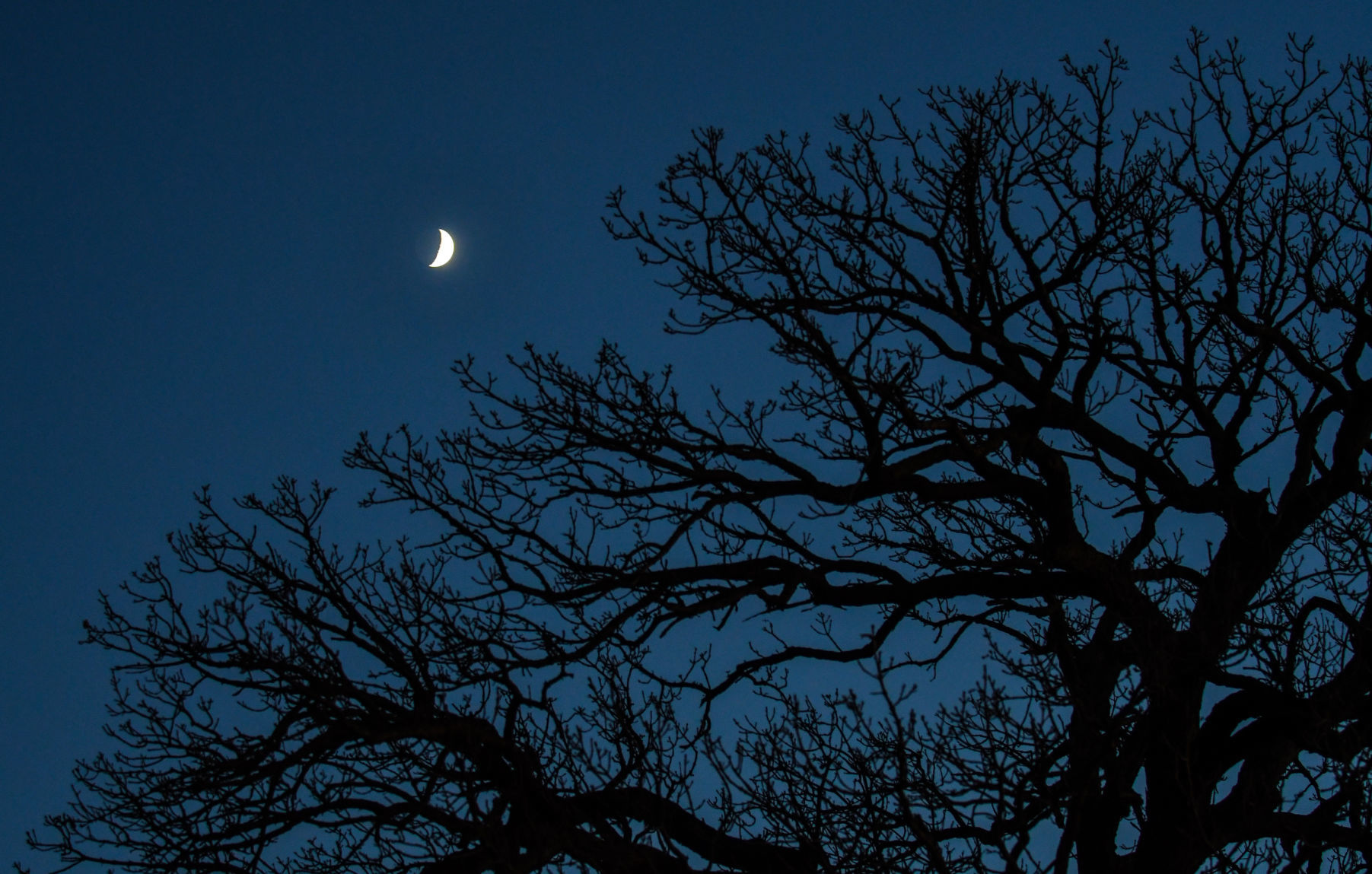 Moon over East Moline
